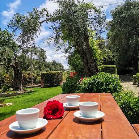 Ilias By Hotelius Apartament *