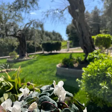 Ilias By Hotelius Dassia (Corfu)