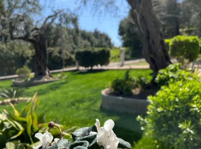 Ilias By Hotelius Dassia (Corfu)