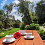 Ilias By Hotelius Apartament *
